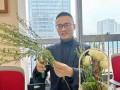 深入解析，拘役是否适用于缓刑