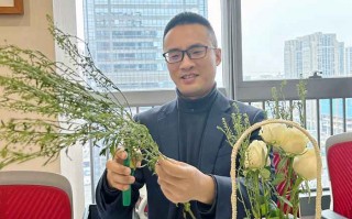 法律咨询，多角度解读法律服务的重要性和实践应用