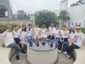 全面解析离婚过程，法律、心理、社会与经济考量
