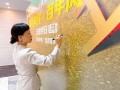 婚姻案件律师的重要性和多维作用解析