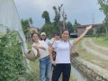 深度解析，中国婚姻家庭律师事务所的综合实力排名