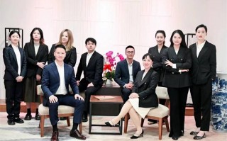 成都市法律服务深度解析，律师咨询的多元化路径